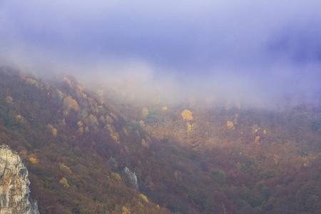 山上美丽的秋景，森林里有金色的树叶和薄雾