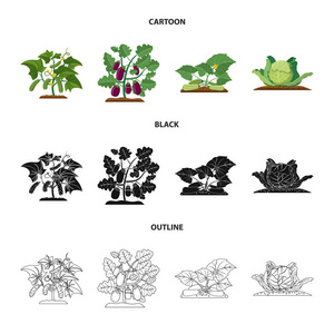 温室和植物符号的孤立对象。一套温室和花园矢量图标的股票