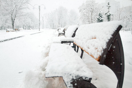 冬天的美丽。 公园里长满了雪。 孤独的概念。 季节性的美丽