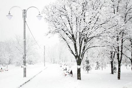 冬天的美丽。 公园里长满了雪。 孤独的概念。 季节性的美丽