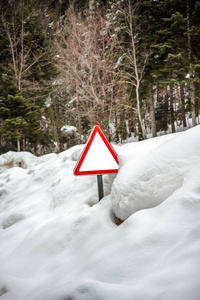 路牌上有一个干净的地方，写着文字，在深雪中，对着一片森林