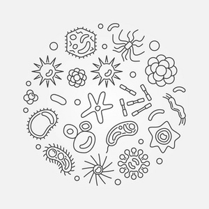 学圆向量微生物学极小的线例证照片