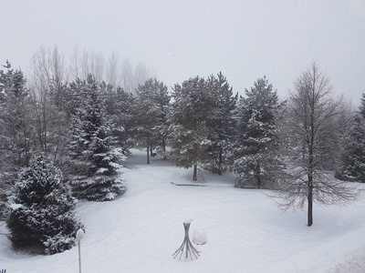 冬季公园的景观有雾和新鲜的雪。