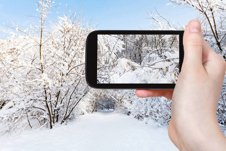 旅游概念俄罗斯莫斯科城市公园积雪树枝的旅游照片，冬季早晨智能手机上