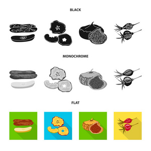 食品和生符号的矢量设计。收集网络的食物和自然股票符号