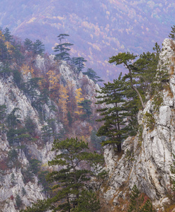 群山中偏远的农村地区令人毛骨悚然的风景，薄雾云和秋叶