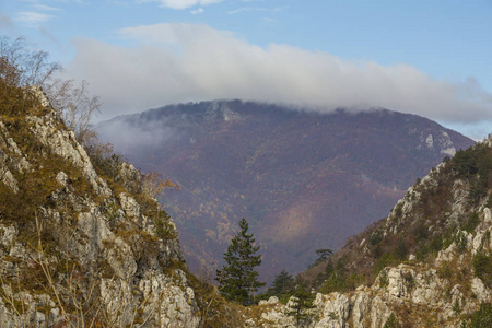 群山中偏远的农村地区令人毛骨悚然的风景，薄雾云和秋叶