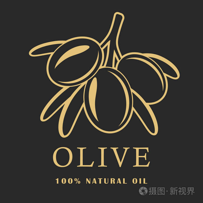 橄榄色与叶子在黑暗的背景.橄榄色徽标.向量例证