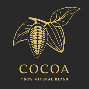 在黑暗背景上有叶子的可可豆。cacao 徽标。向量例证