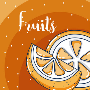 橙子切片水果彩色背景矢量插图图形设计