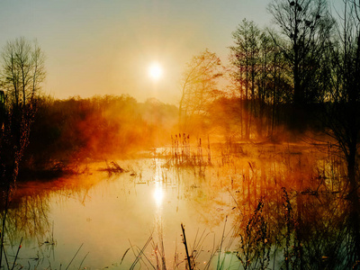 早上的河。 草地上的橙色黎明