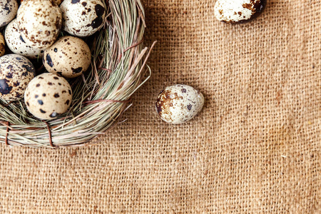 复活节装饰与鸡蛋在巢和棉花在棕色的乡村亚麻帆布背景。 复活节的概念。 平躺顶部视图复制空间。 春季贺卡