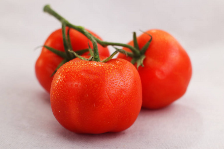 三个成熟的西红柿在白色背景上