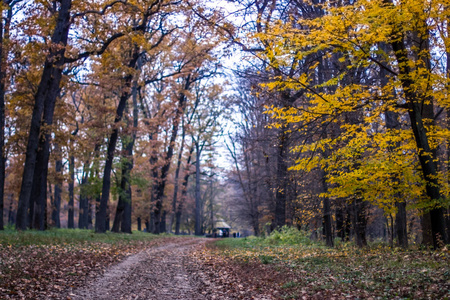 乌克兰乌曼国家公园Sofiivka的秋季景观。欧洲最美丽的广场