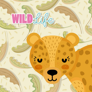 花豹野生动物可爱卡通矢量插图平面设计