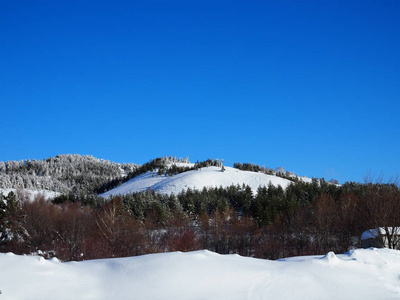 美丽的冬晨景观群山覆盖着雪林针叶树，映衬着明亮的蓝天