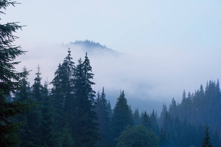 云雾山风景