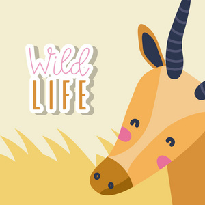 鹿野生动物可爱卡通矢量插图平面设计