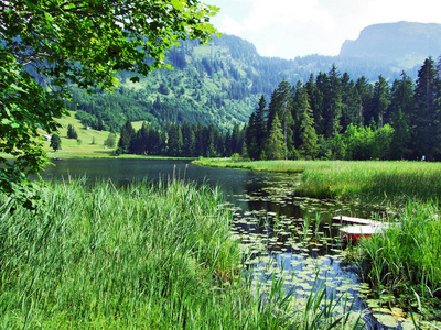 主要湖SchwendiseeVorderSchwendisee，Wildhaus瑞士圣加伦州