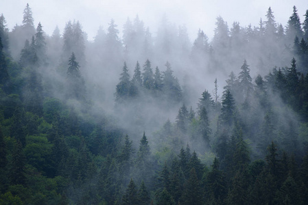 云雾山风景