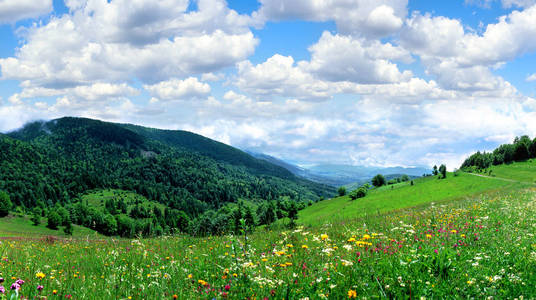 乌克兰锡尼韦储备全景