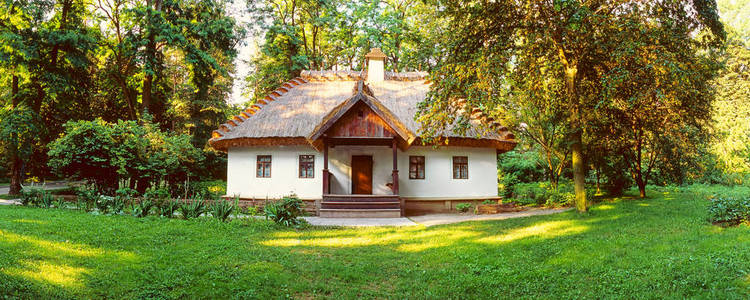 乌克兰森林中的老小屋全景