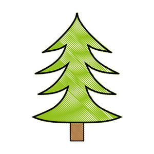 带有树干设计矢量插图的天然松树