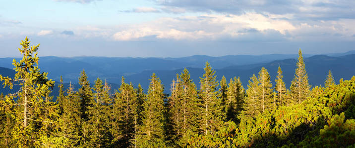 夏季从霍米亚克山顶喀尔巴阡乌克兰高尔基山脉景观。