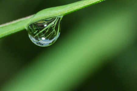 草地上的水滴，自然界的水滴，自然背景抽象