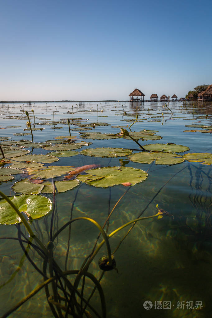 清澈的湖水和白色的沙质湖底使水的颜色在一天中变成不同的蓝绿色和