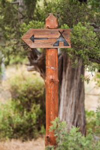 森林营地的木制路标