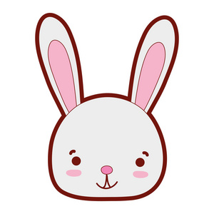 线色微笑兔头野生动物插图照片