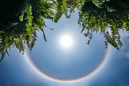 幻日 the circular rainbow around the sun in the sky, this moment