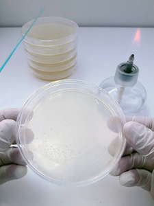 一种用于在细菌实验室培养环境的培养皿上播种生物材料的工具