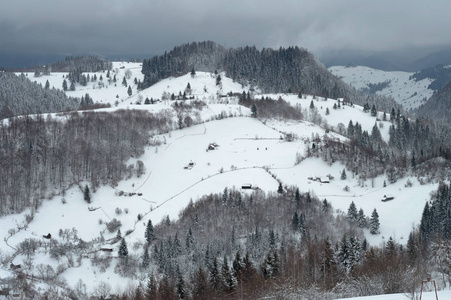 雪山上覆盖着树木。 美丽的冬季景观。 冬季森林