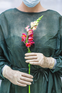 女医生或护士与快照龙花在手图片