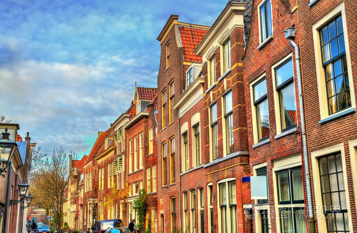 荷兰莱顿的一条街道上的传统荷兰房屋