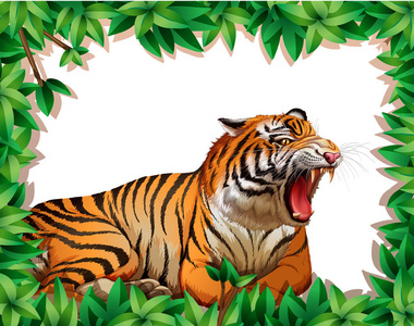 老虎在自然框架插图