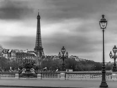 穆迪城市景观与桥亚历山大岛桥, 塞纳河和埃菲尔铁塔在巴黎, 法国, 在黑色和白色