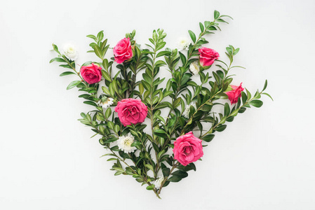 白色背景下的粉红色玫瑰绿色盒木和菊花组成的花卉顶部视图