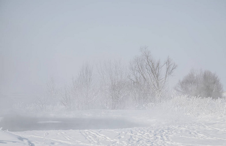 美丽的冬季景观，河和雪覆盖的海岸蓝天