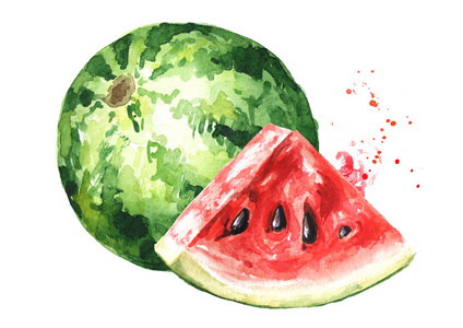 全和切片熟西瓜.水彩手绘插图,白色背景隔离照片