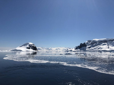 南极野生动物海滩极地海