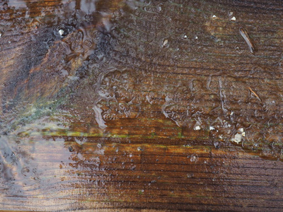 湿木表面背景纹理复制
