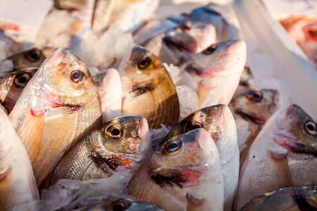 一堆新鲜的多拉多鱼出售在鱼贩户外海鲜市场。