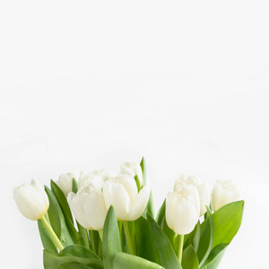 白色郁金香花束。 花卉图案。 文本空间。