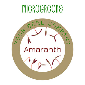 微透镜红色苋菜。 种子包装设计中心圆形元素