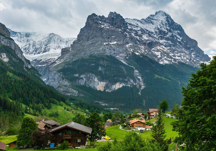 夏季阿尔卑斯山的山景，山坡上有冷杉林，在遥远的瑞士有雪覆盖的岩石顶部。 国家观点。