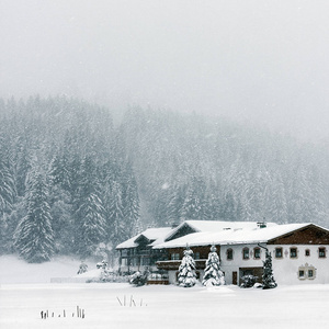 大雪，能见度差，暴风雪，霜冬。 阿尔卑斯山奥地利。 房子松树和杉树。