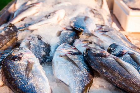 一堆新鲜的多拉多鱼出售在鱼贩户外海鲜市场。